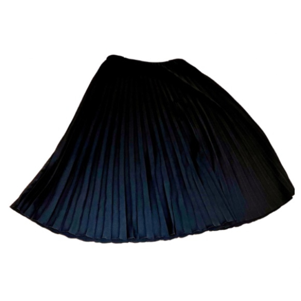 Wm Zara Pleated Maxi Skirt